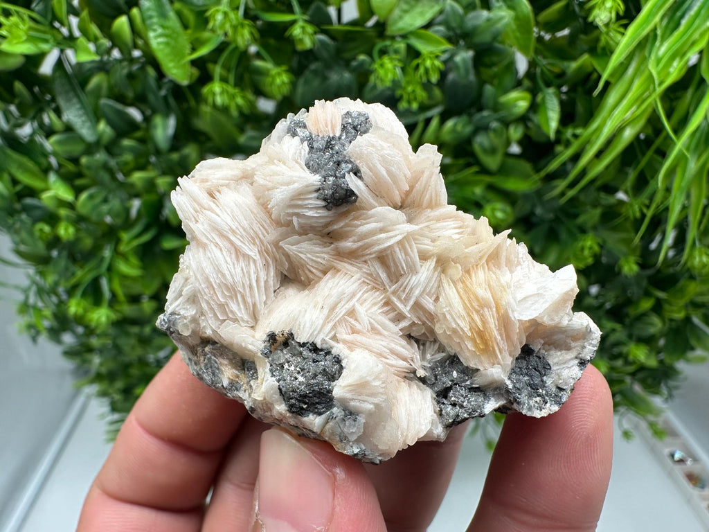 Wonderful Baryte with Cerussite on Galena from Morocco,Crystal, Mineral,Specimen,Cluster,Crystals,Barite Crystal,Cerussite Crystal,Specimen