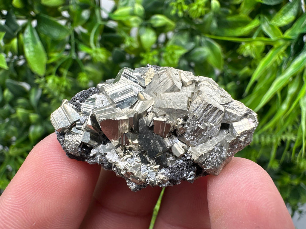 Pyrite on Sphalerite Mineral Specimen, Rare Crystal Decor