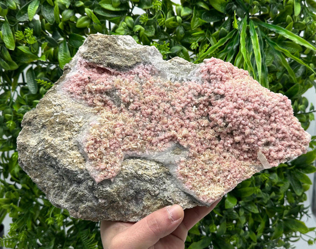Large Rhodochrosite with Stilbite & Quartz, Bulgarian Mineral Specimen