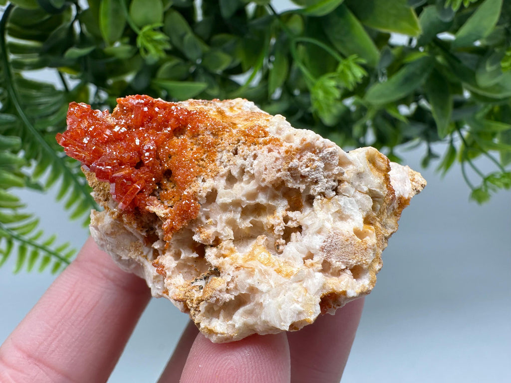 Red Vanadinite on Barite from Marocco,crystal minerals Speciment cluster Vanadinite crystal Vanadinite Geology Vanadinite cluster minerals