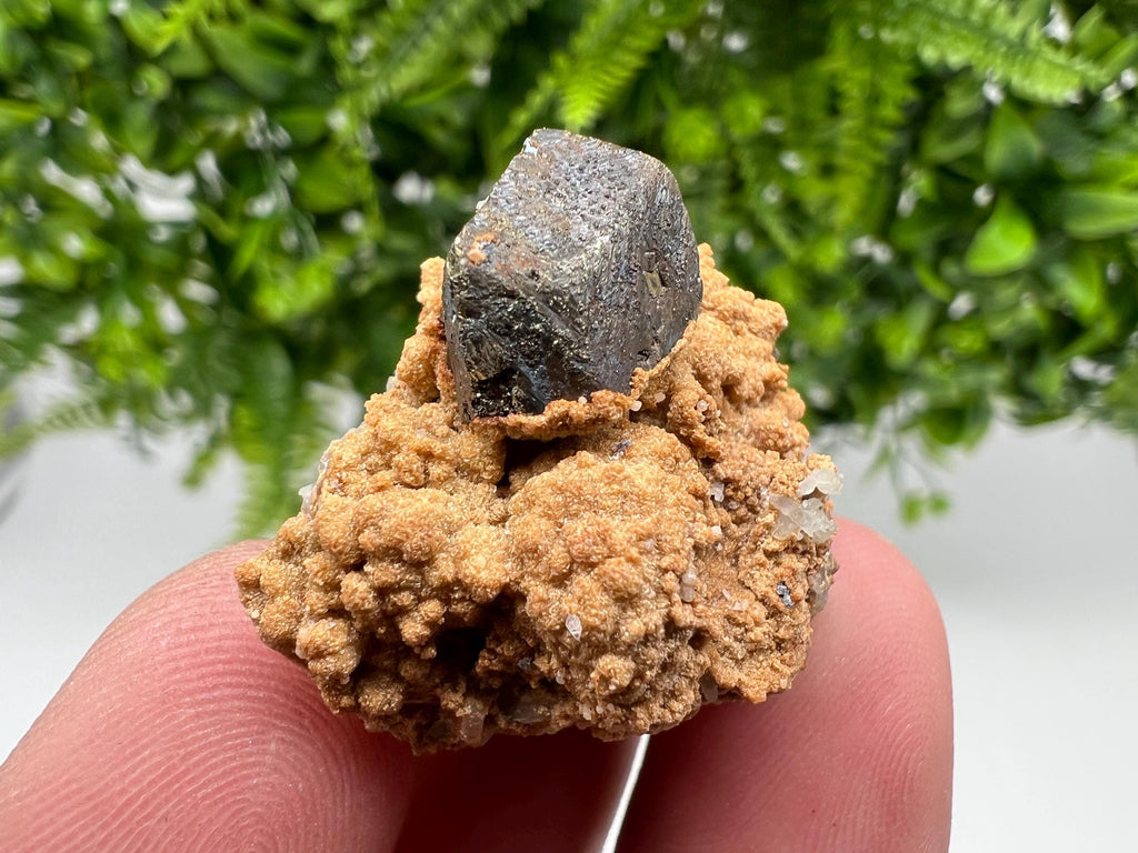 Chalcopyrite with Hematite on Siderite Specimen, Bulgaria Mineral Collection