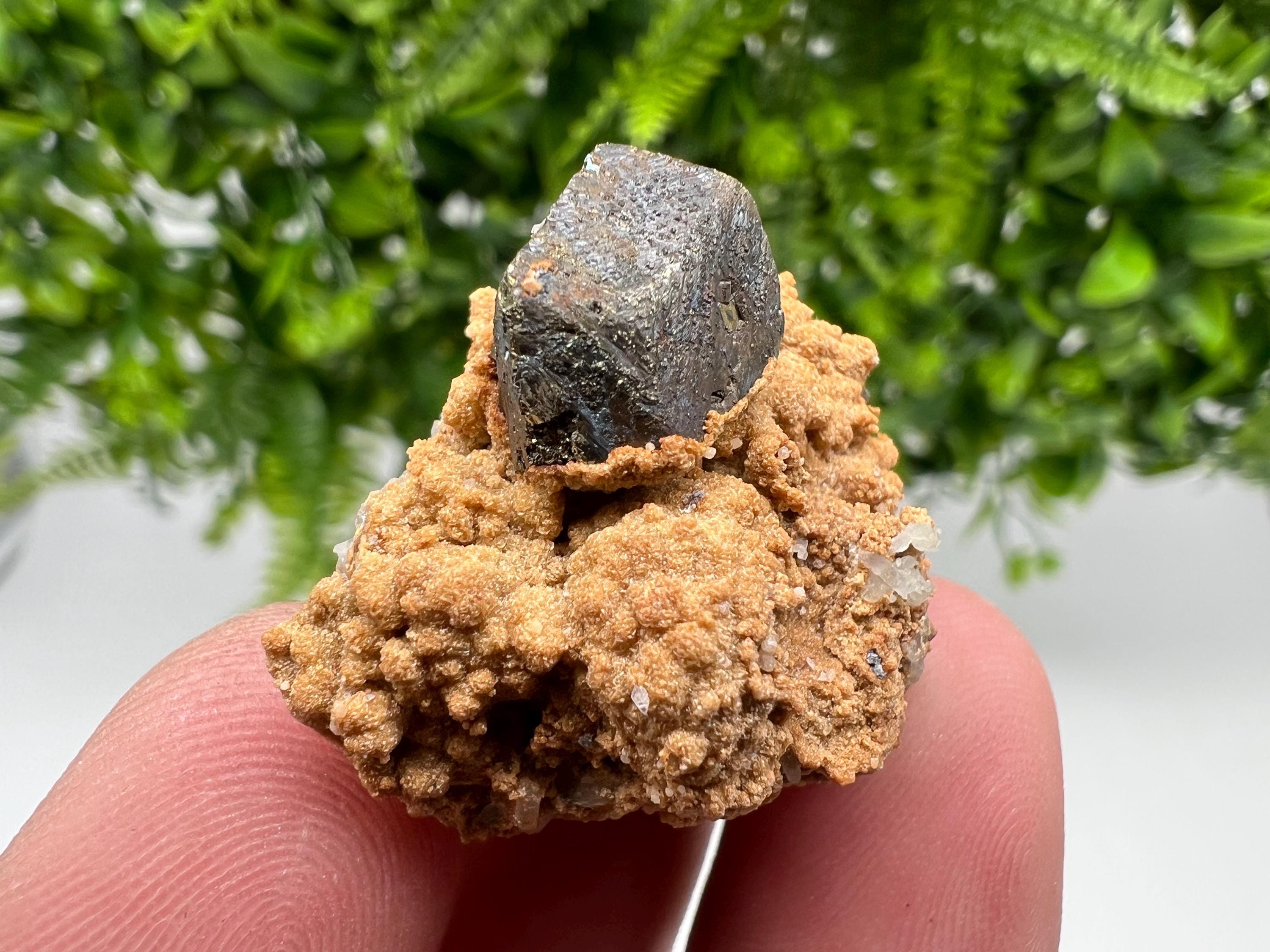Chalcopyrite with Hematite on Siderite Specimen, Bulgaria Mineral Collection