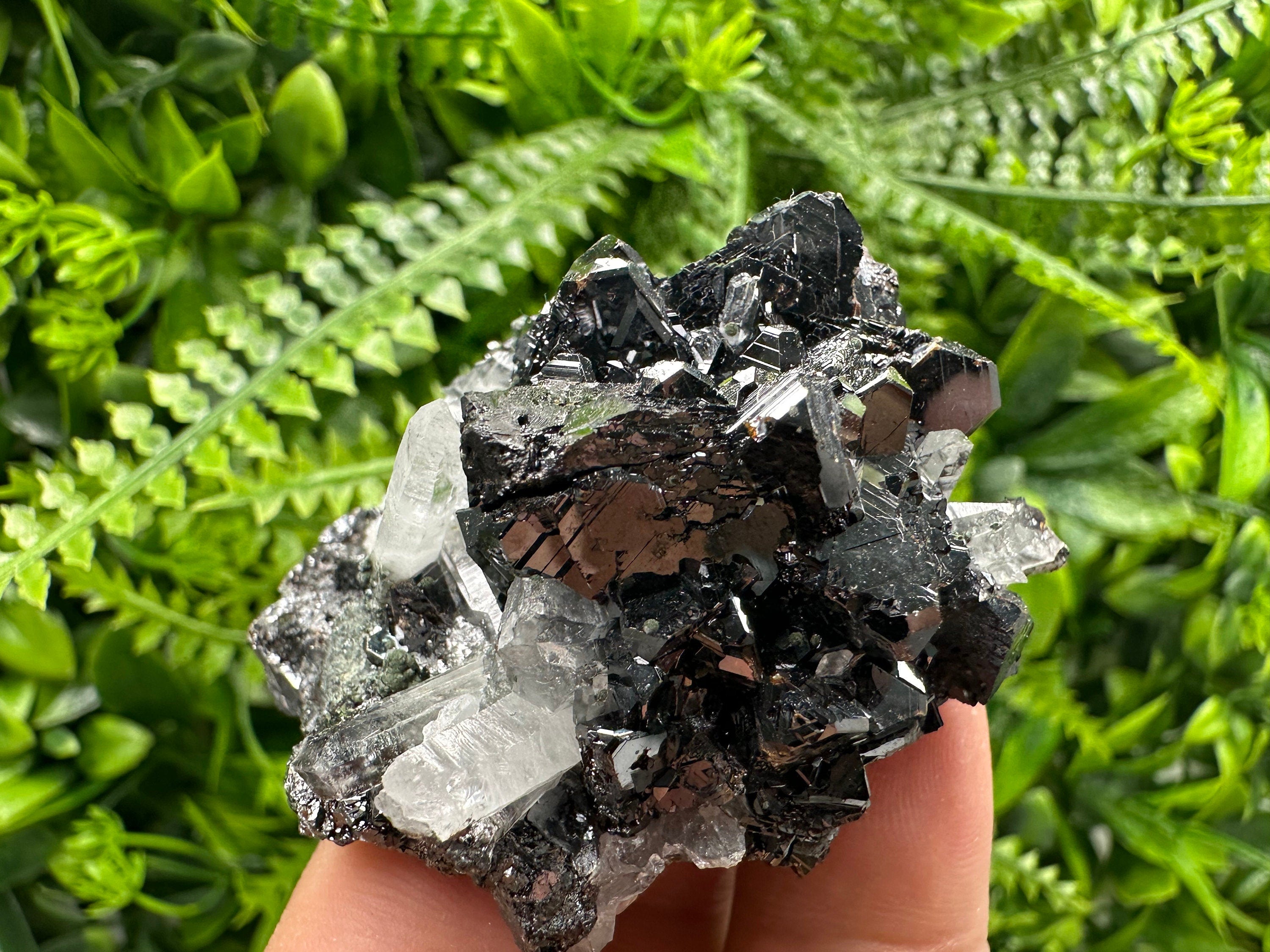 Borieva Sphalerite on Quartz: Rare Mineral Cluster