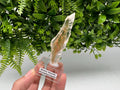 Golden Phantom Selenite Slab: Utah Raw Fishtail Selenite