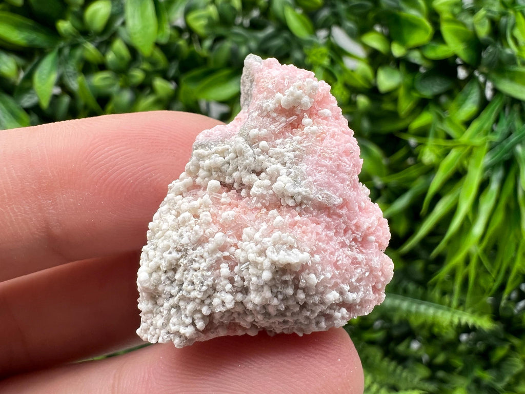RARE Rhodochrosite with White Calcite, Starnica Mine, Bulgaria