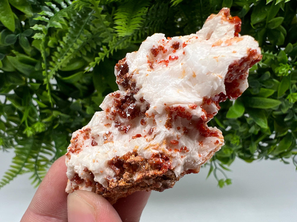 Wonderful Barite whit Vanadinite,Marocco,crystal minerals Speciment cluster Vanadinite crystal Vanadinite Geology Vanadinite cluster mineral