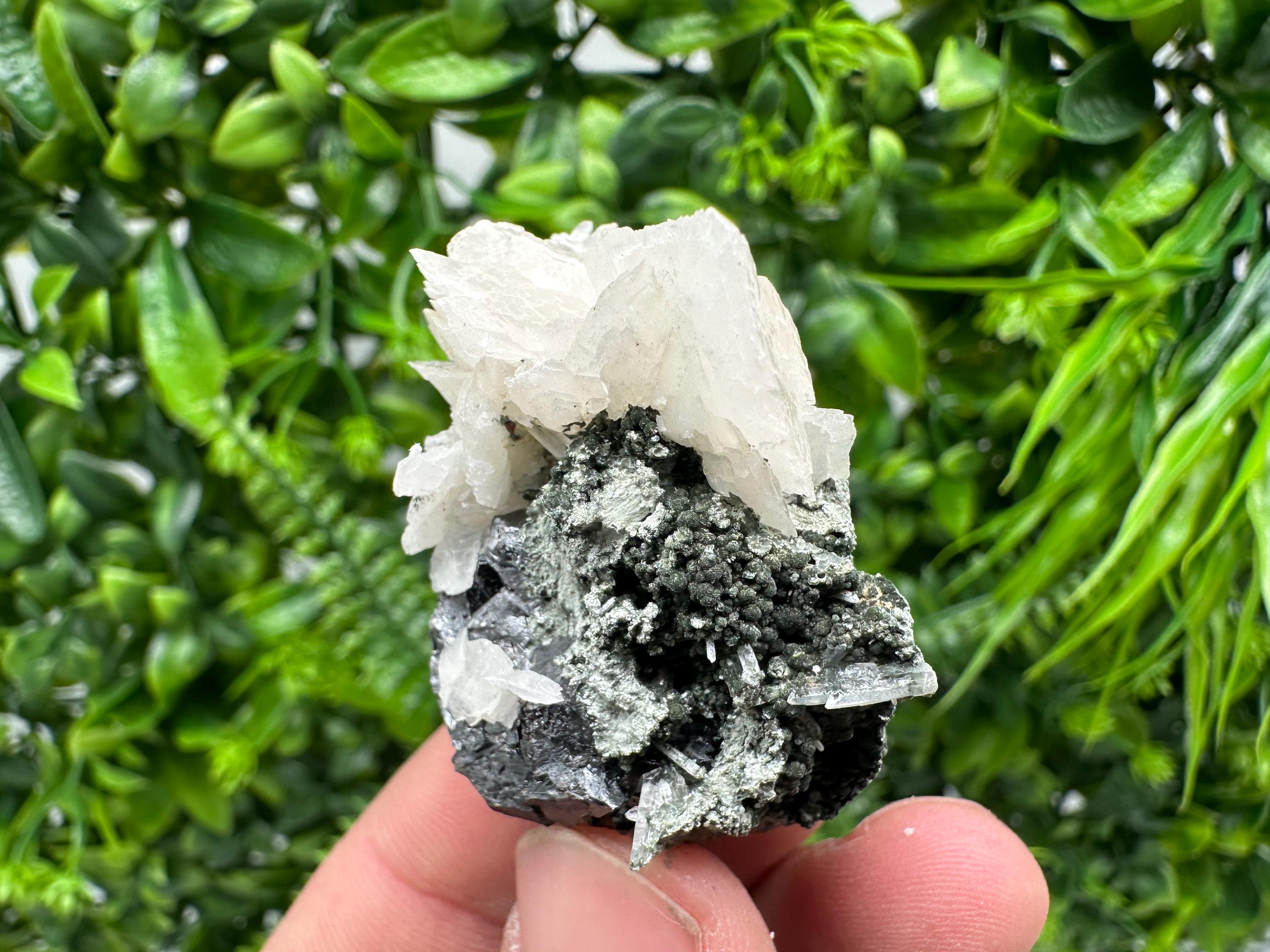 Mirror Galena, Calcite, Sphalerite on Quartz with Chlorite: Collection Mineral