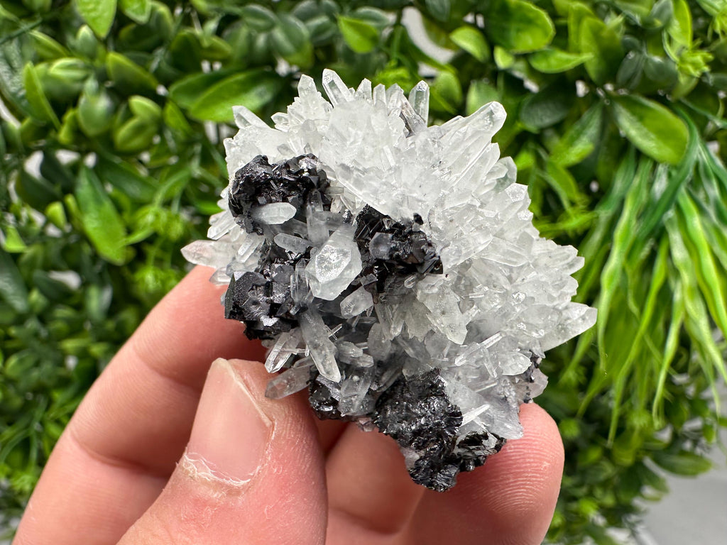 Wonderful Sphalerite Chalcopyrite on Green Quartz whit Hematite feom 9 th September mine,Bulgaria,natural,collection mineral specimen,gift