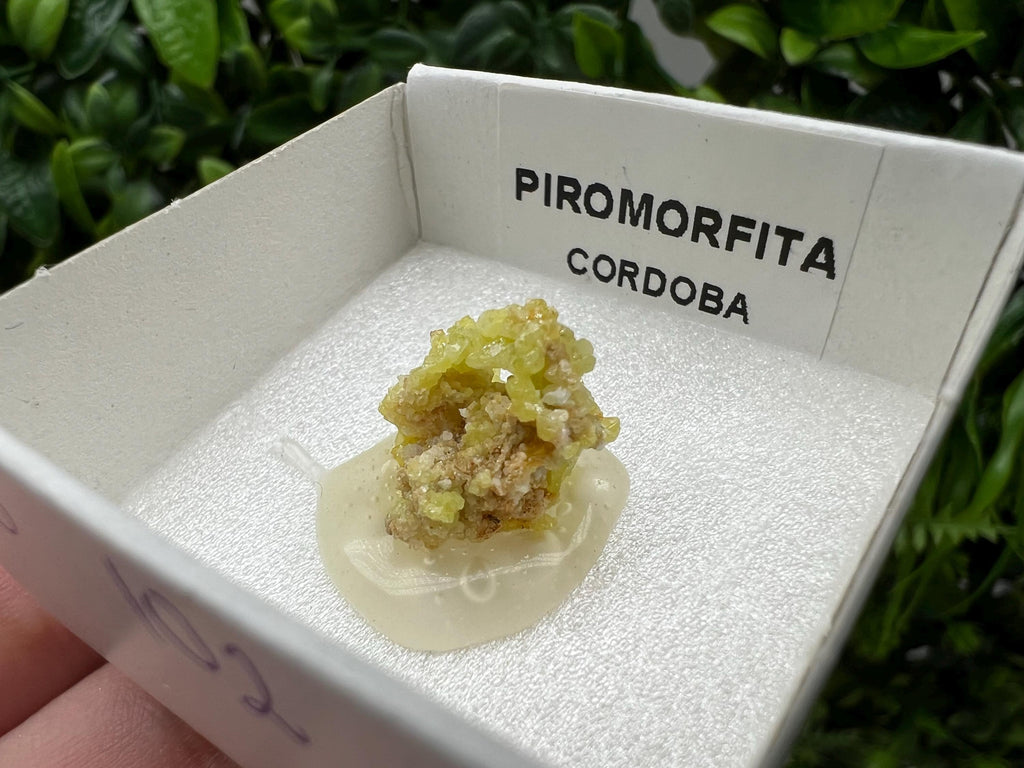 Pyromorphite Stone / Pyromorphite on Matrix / Pyromorphite Crystal / Raw Crystal / Pyromorphite Cluster / Rough Pyromorphite / Pyromorphite