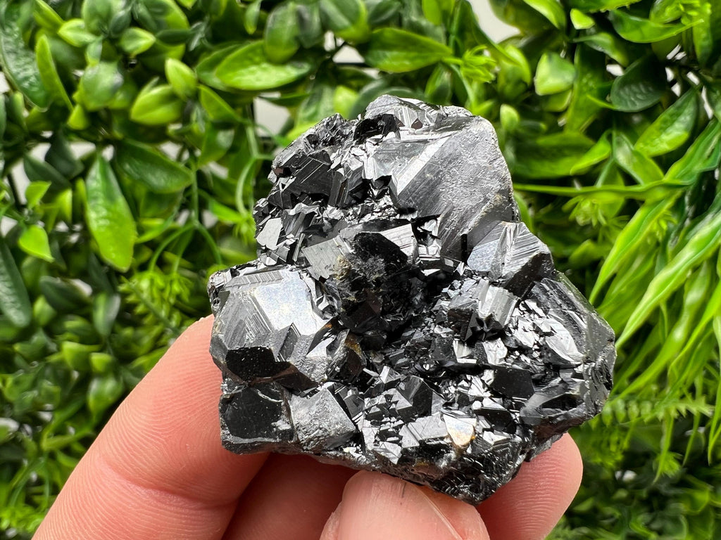 Sphalerite with Chlorite: Borieva Mine, Bulgaria