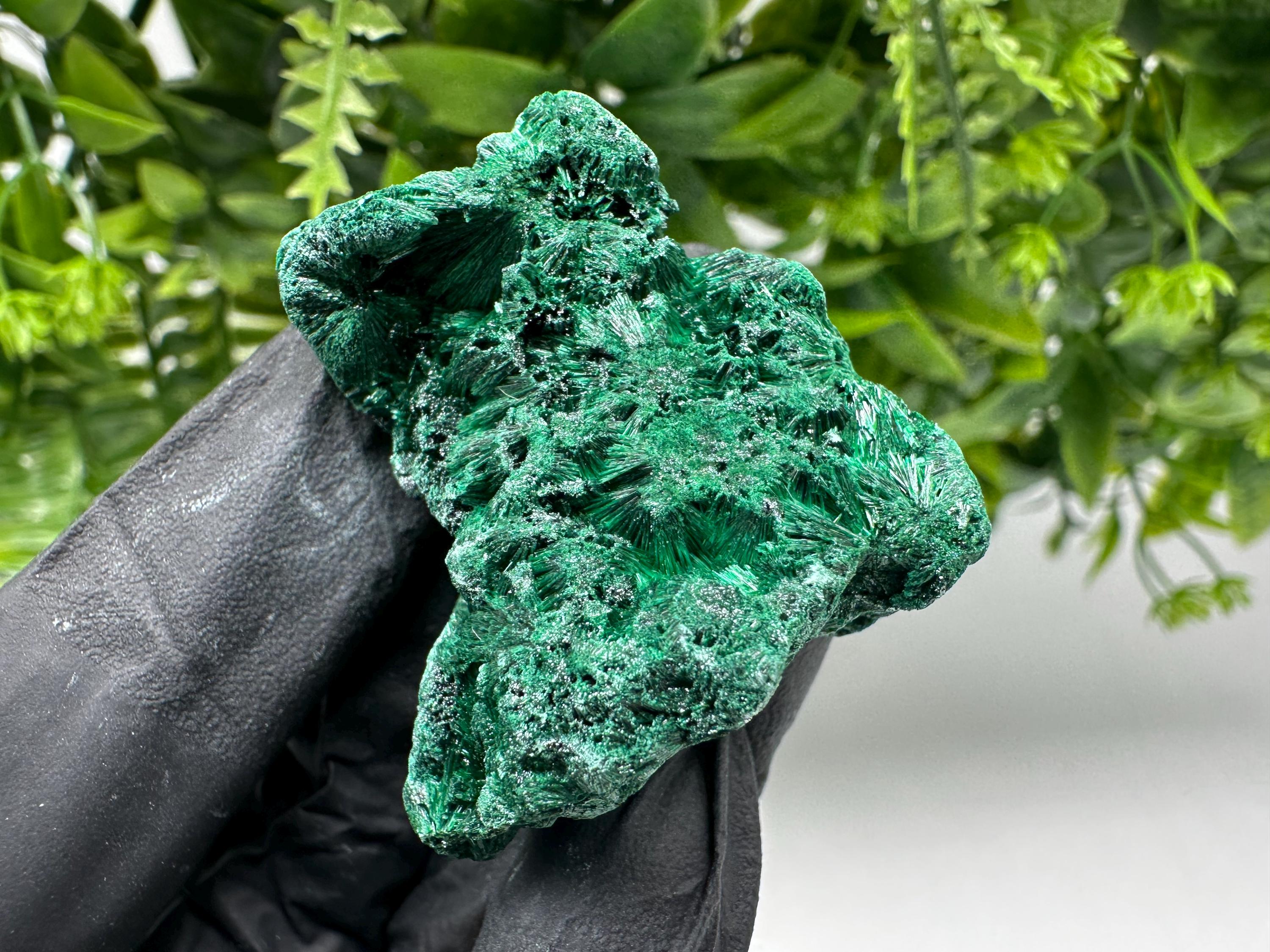 Malachite Crystal from Congo,Minerals,Crystals from Congo,Green Malachite, Malachite,Natural Malachite,Malachite Stone,Chakra, Specimens