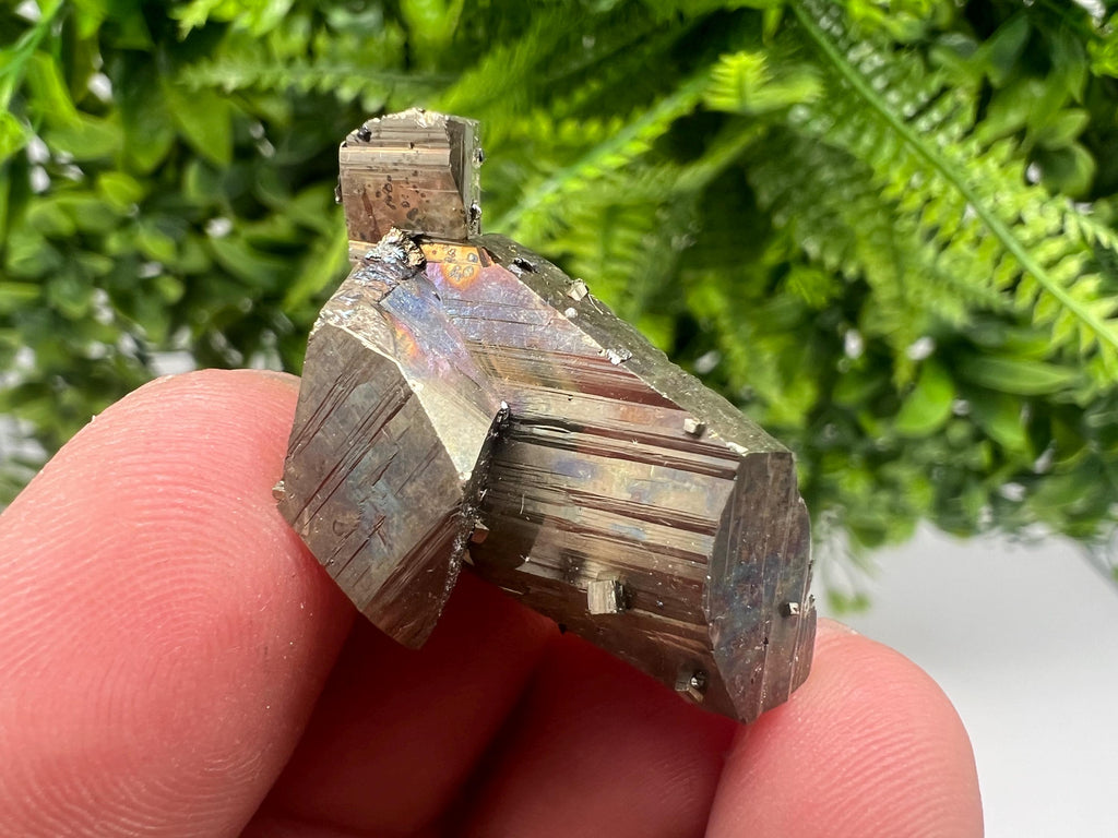 Mini Rainbow Pyrite Cluster: Borieva Mine, Bulgaria