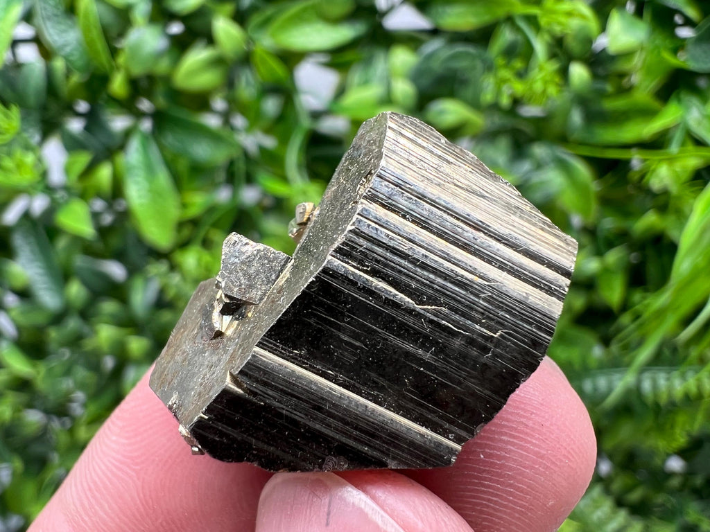 Mini Rainbow Pyrite Cluster, Borieva Mine, Bulgaria