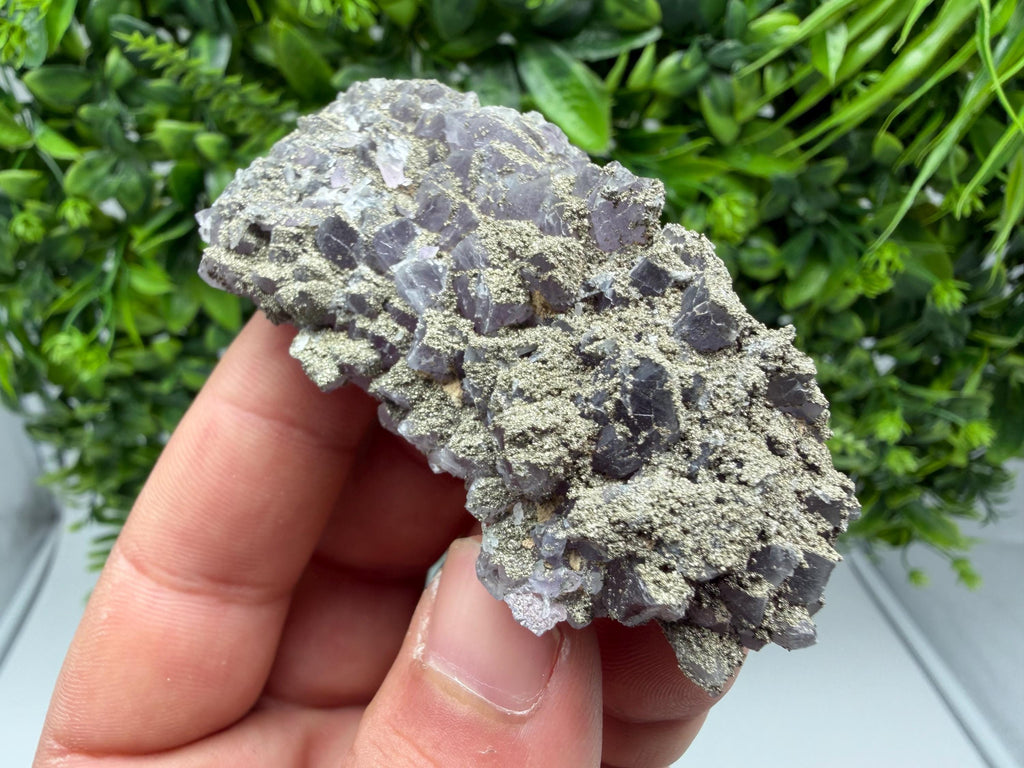 Amethyst Phantom Cluster, Chala Mine Bulgaria, Rare Crystal Specimen