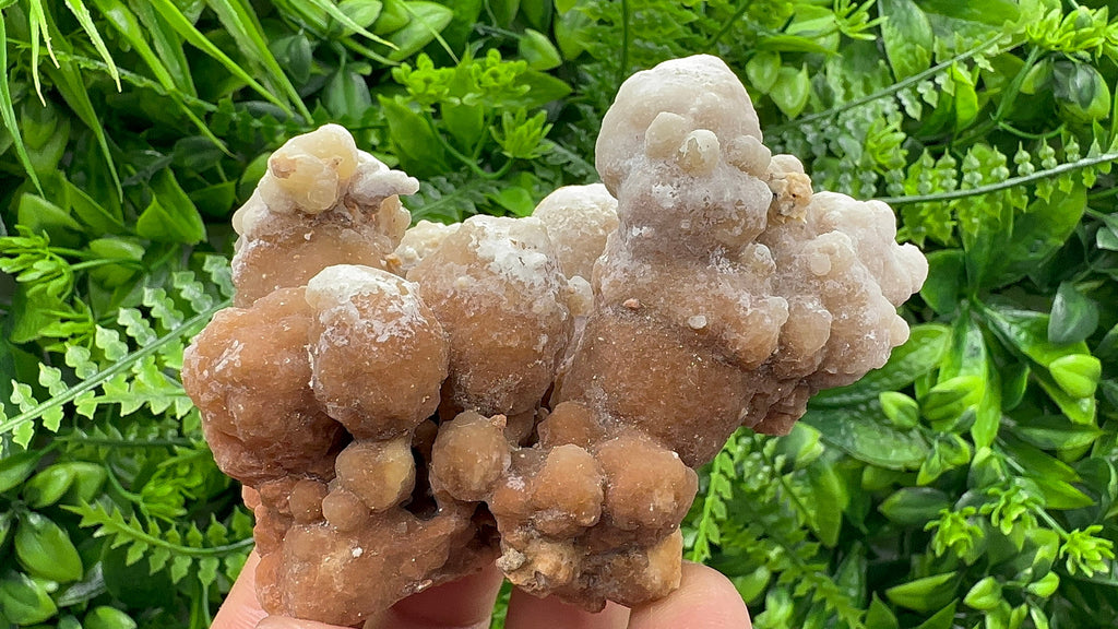 Dimitrovgrad Aragonite Cluster, Bulgaria, Natural Mineral Specimen