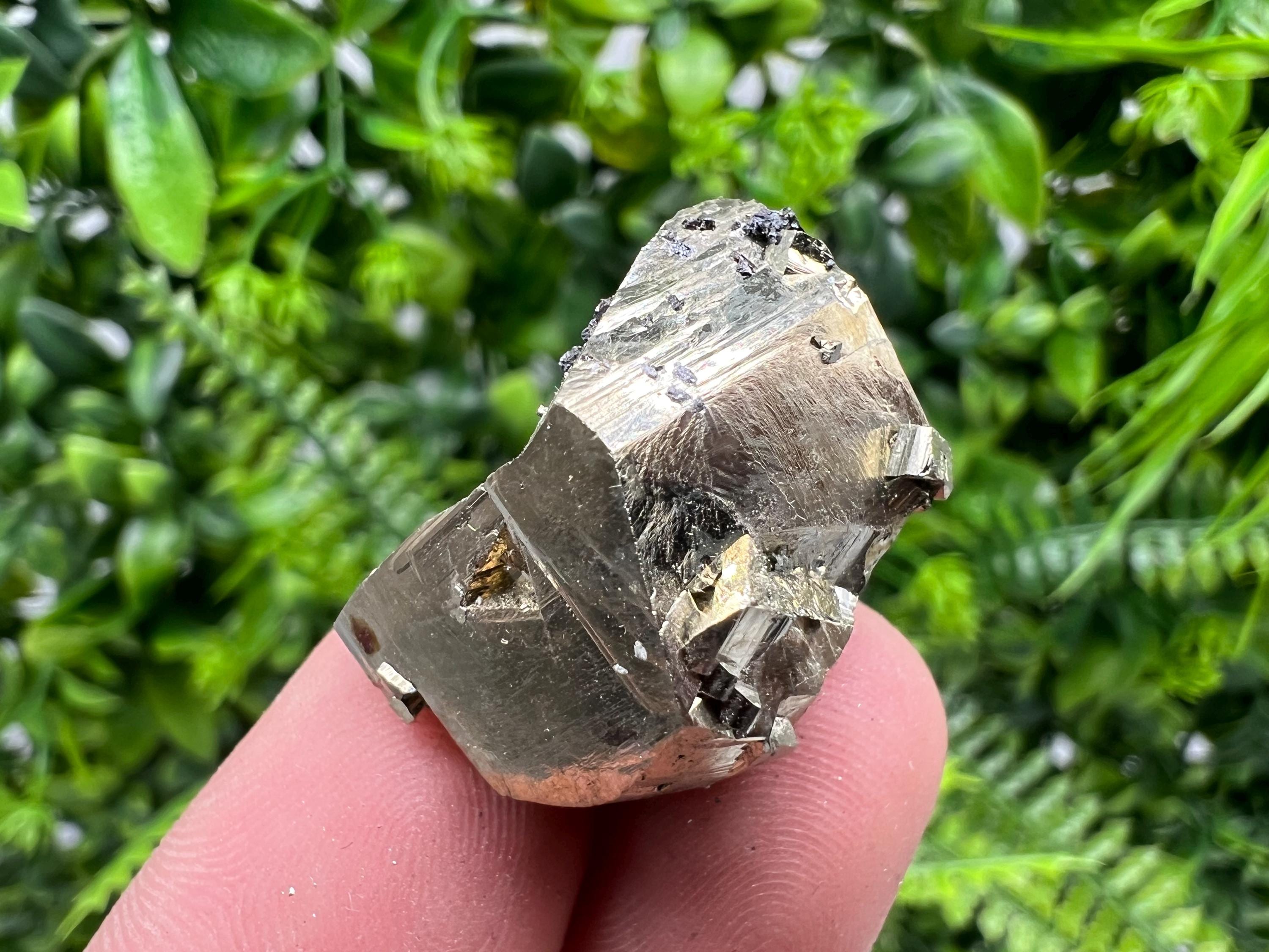 Rare Crystallization Pyrite Cluster, Borieva Mine, Bulgaria