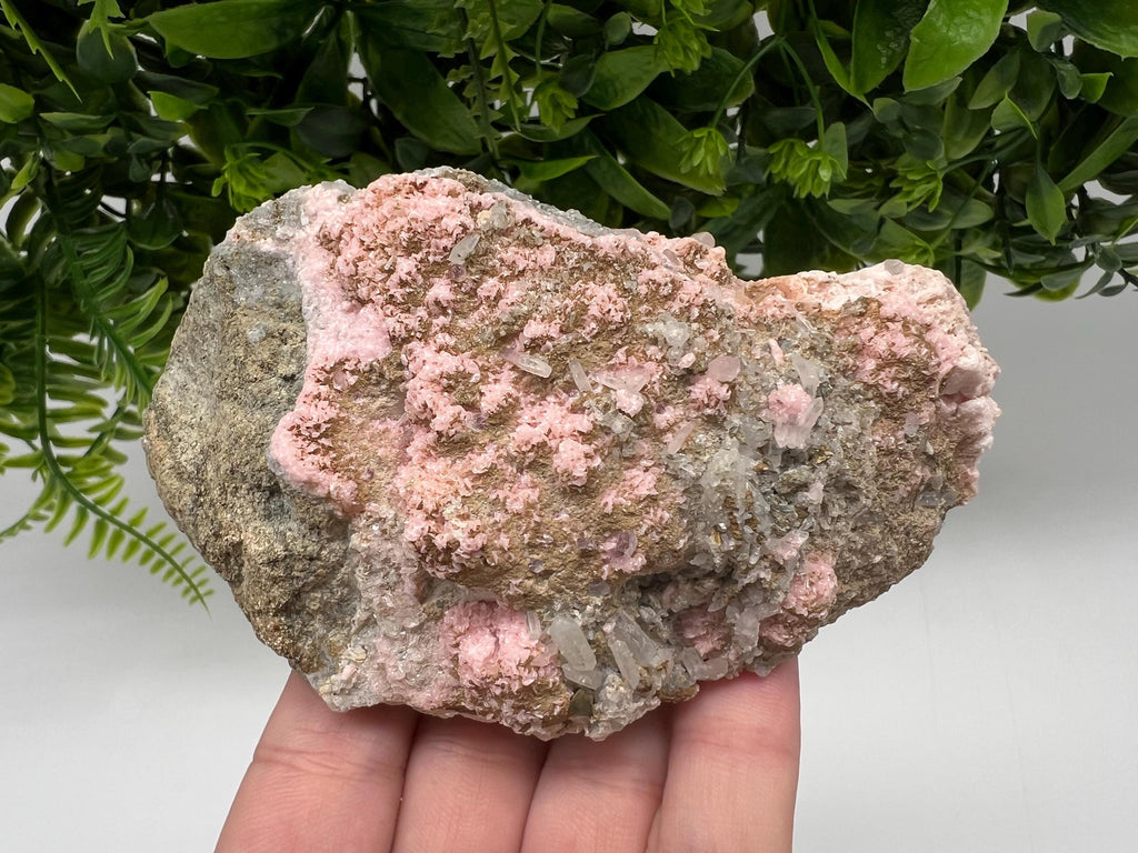 Pink Rhodochrosite Crystal: Starnica Mine, Bulgaria - Home Decor Stone