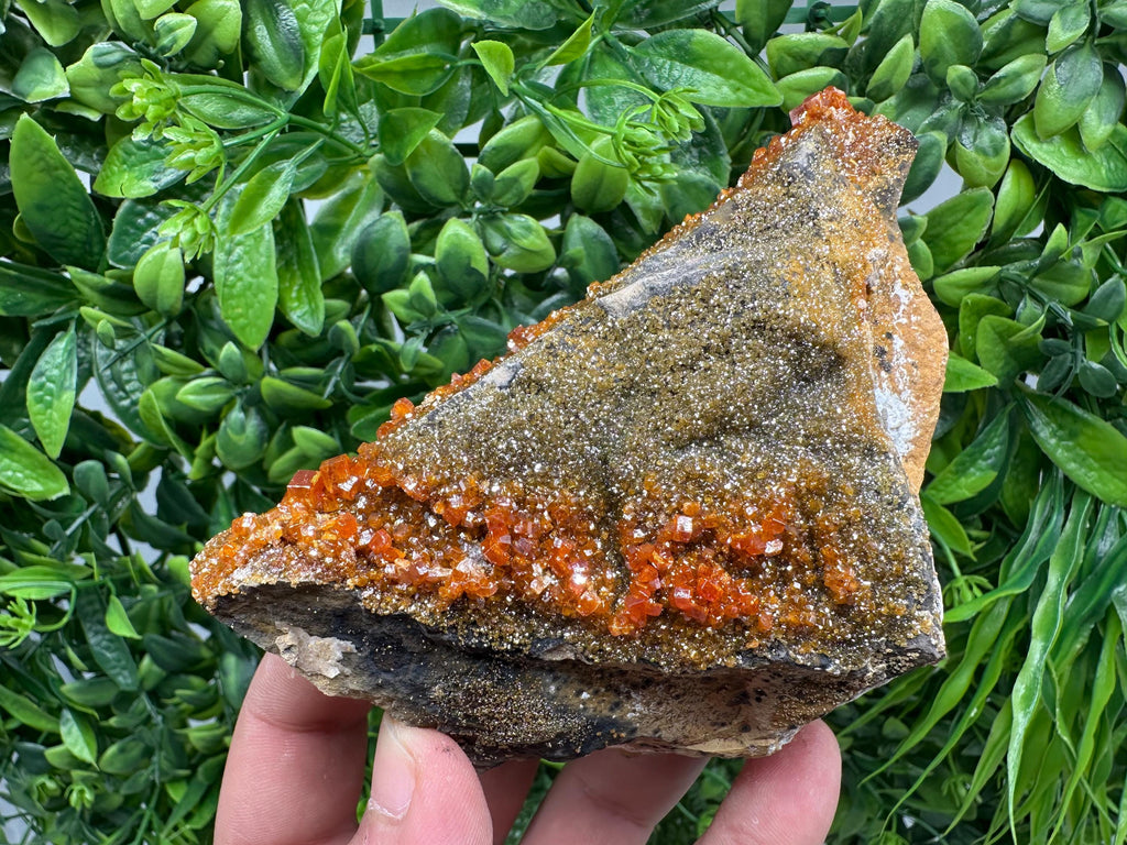 VERY Rare red Vanadinite on Barite whit Goethite from Marocco,crystal minerals Speciment cluster Vanadinite crystal Vanadinite Geology Vanad