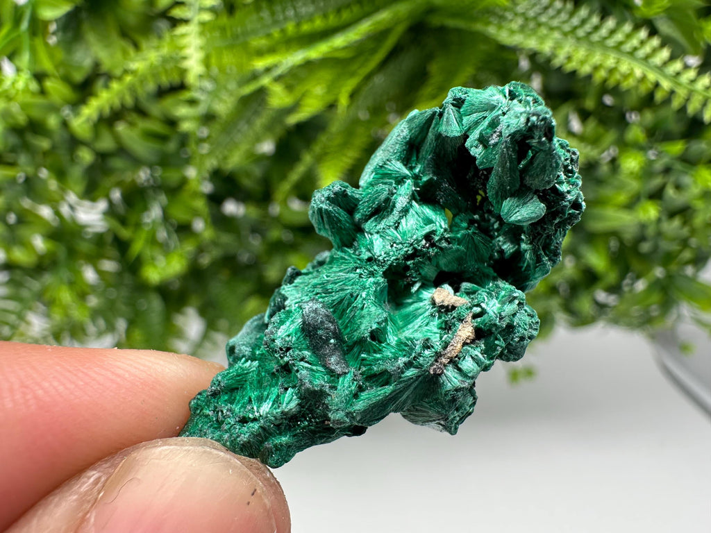 Malachite Crystal from Congo,Minerals,Crystals from Congo,Green Malachite, Malachite,Natural Malachite,Malachite Stone,Chakra, Specimens