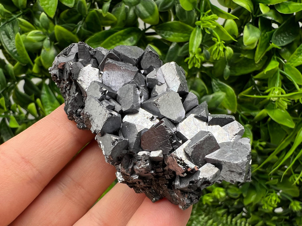 Galena with Sphalerite Mineral Specimen, Borieva Mine, Bulgaria