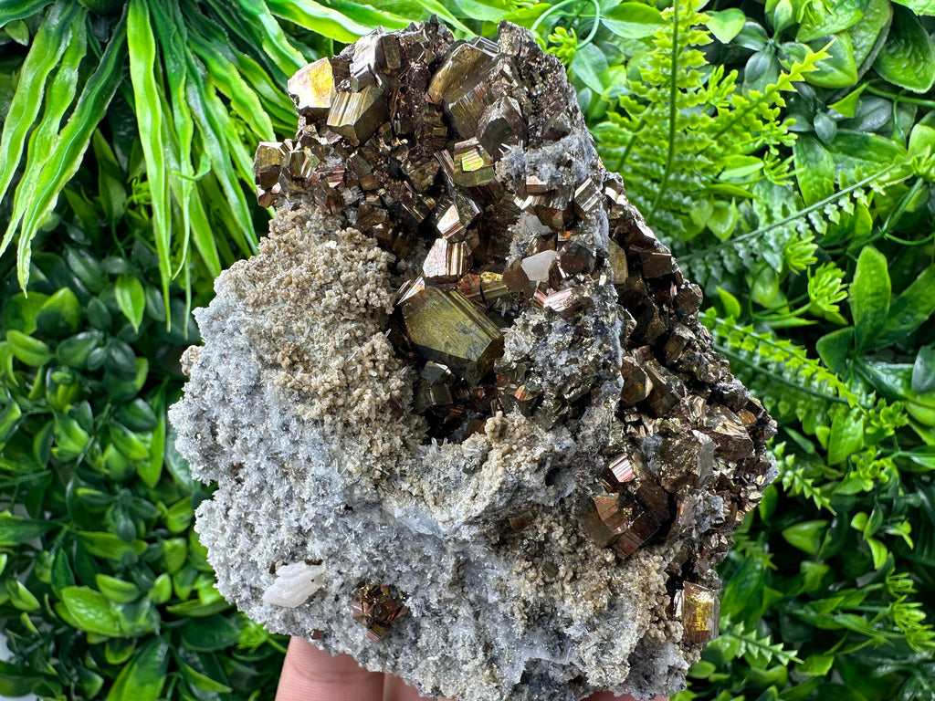 Pyrite on Quartz and Calcite: Natural Mineral Collection, Borieva Bulgaria