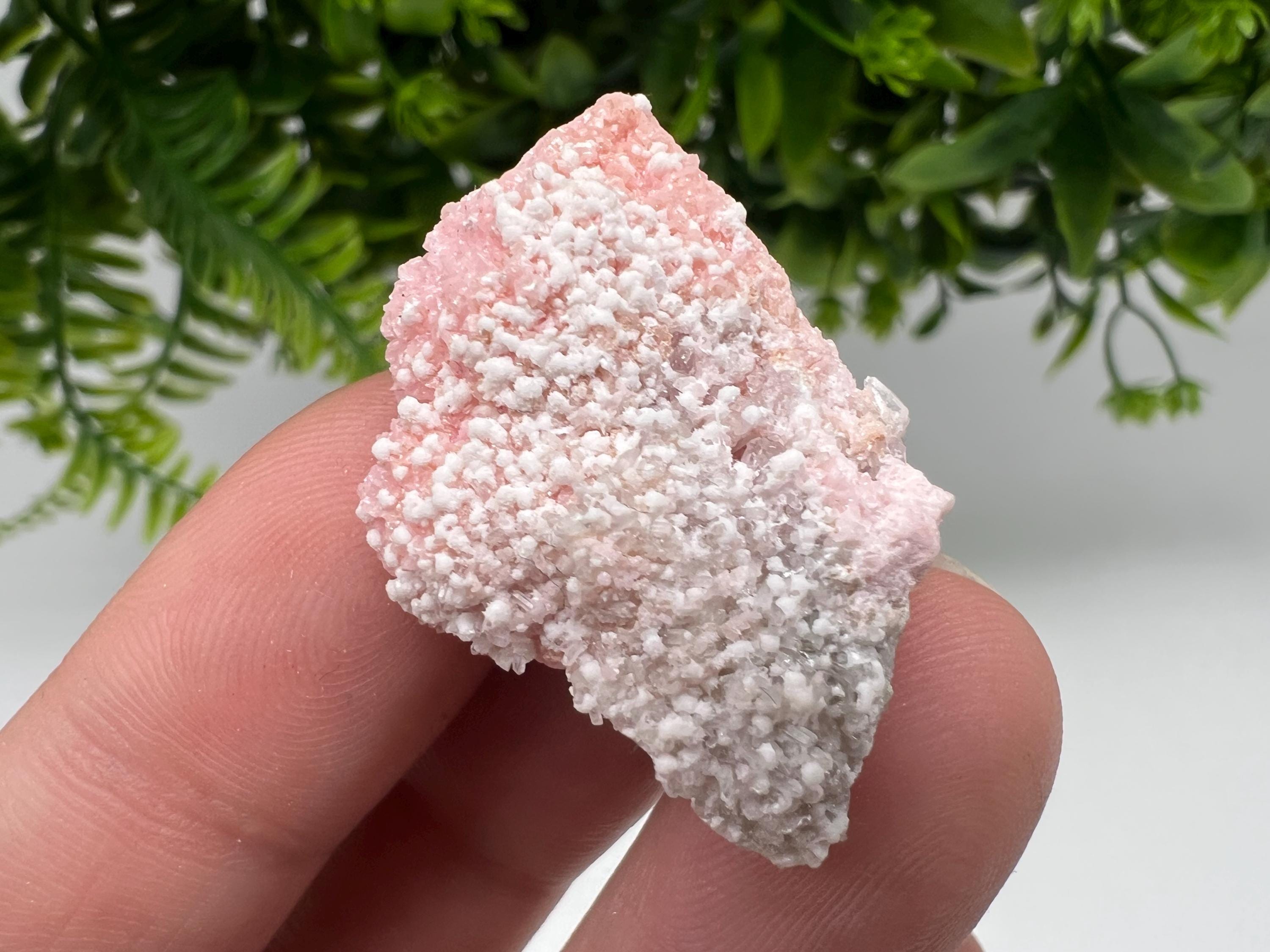 RARE Rhodochrosite whit white Calcite,pink mineral,Starnica Mine,Davidcovo,Bulgaria natural mineral,souvenir crystal,home decor,collectible