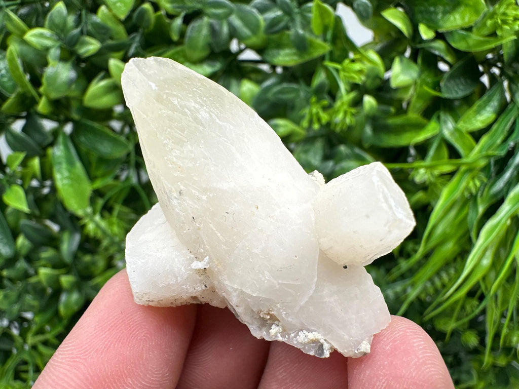 Calcite on Aragonite: Djurcovo Mine, Bulgaria Crystal